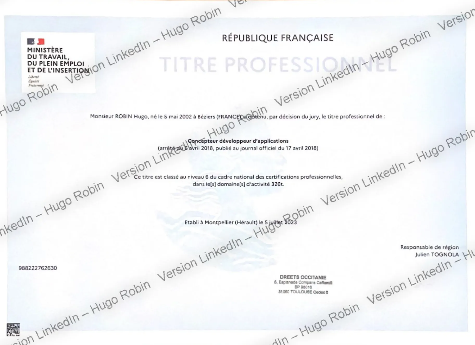 certificate for professional title level 6 · application designer & developer
